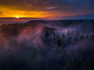 Aerial sunrise or sunset with colorful fog or mist at the treetops 