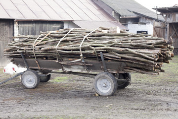 Trailer full of chopped fire-wood old fashioned farmers cart at Poland's countryside rural life