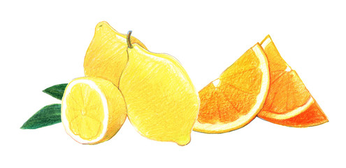 Citrus fruits: lemon and orange  in whole and in a cut. Graphic drawing with colored pencils. Isolated on white background