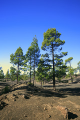 Teide mountain in Tenerife. Canary Islands