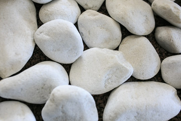 Big white stones in a garden