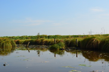 Wasserkanal zwischen Feldern