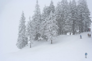Snow in the mountains at the Poiana Brasov ski resort in Romania