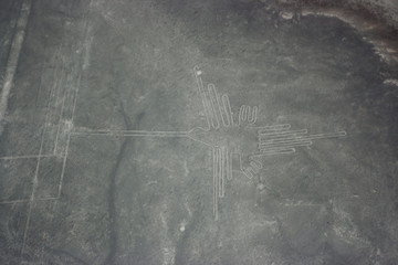 Bird figure at Nazca lines seen from the plane, Nazca lines, Peru