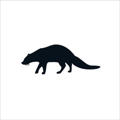 Raccoon icon. Vector Illustration