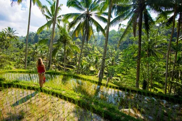 Photo sur Plexiglas Indonésie Rizières en terrasses à Tagallalang - Bali, Indonésie.