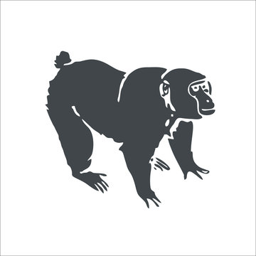 Monkey icon. Vector Illustration