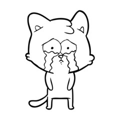 Obraz na płótnie Canvas cartoon crying cat
