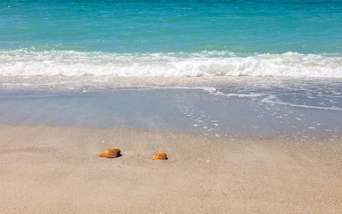 Fototapeta na wymiar Beach, sand, shells, waves, Sanibel Island, Florida, USA