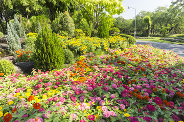 Beautiful flowers at Suan Luang. R.9, Thailand