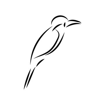 recommend clip art: Bee eater bird mono line art vector