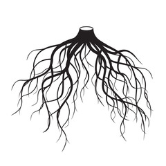 Black Roots Tree. Vector Illustration.