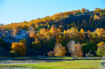 Obraz premium The valley autumn landscape.