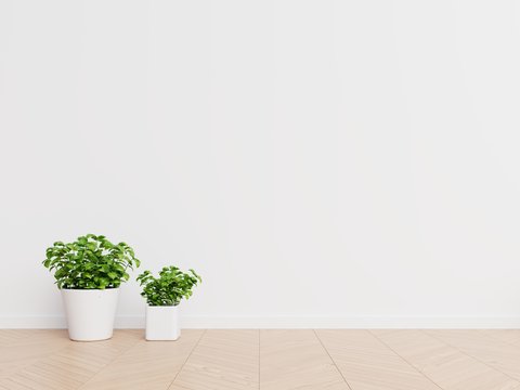 White wall interior design with plants on a floor,3D rendering
