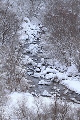 冬の渓流　Winter creek