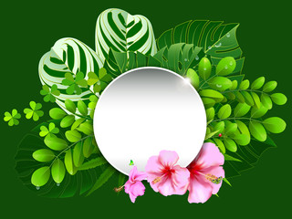 summer tropical green leaf