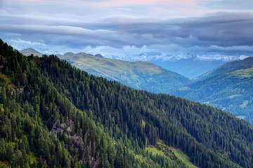 Obraz premium Dark green pine forests on Carnic and Gailtal Alps slopes in Obertilliach Lesachtal valley in morning with snowy peaks of Villgraten Defereggen Alps High Tauern in background Osttirol Austria Europe