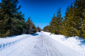Snowy Country Road