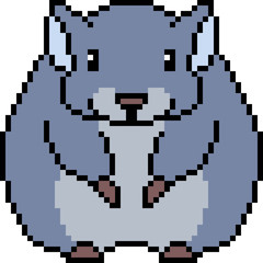Obraz premium vector pixel art chinchilla