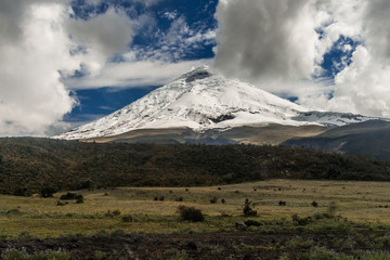 vulcano cotopaxi