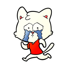 crying cartoon cat