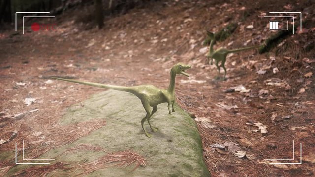 Small dinosaurs are filmed through a video camera interface