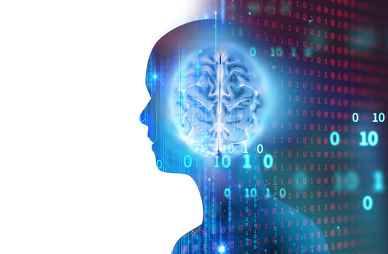 3d illustration of human brain on technology background.