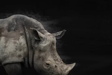 Papier Peint photo Lavable Rhinocéros fond noir et blanc animal rhinocéros, peut être utilisé comme affiche ou concept de conservation