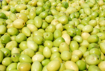 Fresh green zizyphus in pile in the harvest season