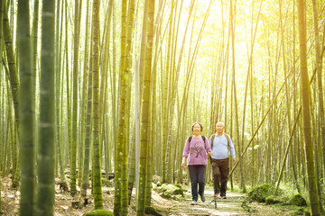 Senior Couple hiking in green bamboo forest 