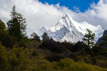 Snowy mountain in Autumn in Yading National Reserve, Sichuan, China
