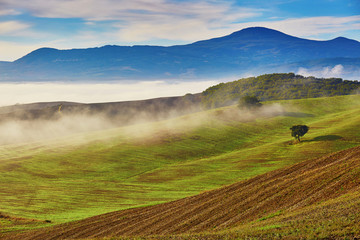 Obraz premium Landscape of San Quirico d'Orcia, Tuscany, Italy