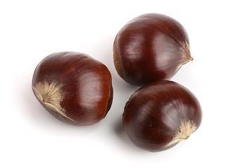 fresh edible chestnut isolated on white background