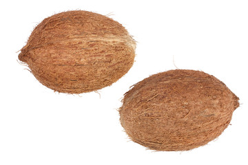 two whole coconut isolated on white background. Flat lay. Top view