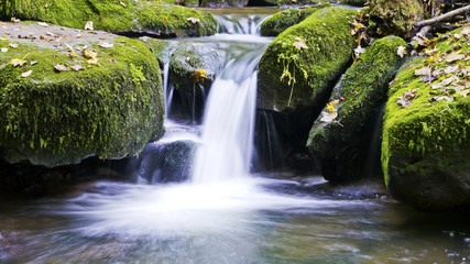 Fluss im Wald