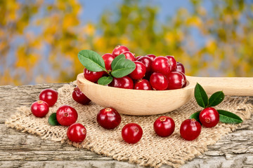 Cranberry with leaf in wooden spoon on old wooden table with blurry garden background