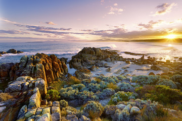 Beerbarrel Beach Tasmania. - obrazy, fototapety, plakaty