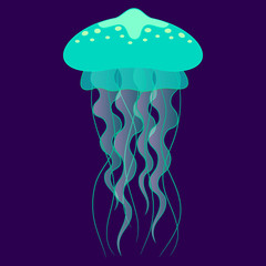 jellyfish cute vector 