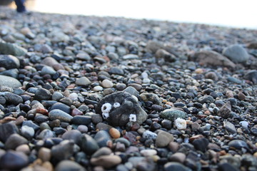 Sea Rocks
