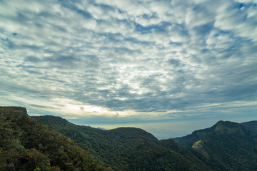 Fototapeta premium Sri Lanka – landscape cloud forest of the Horton Plains National Park, view from World's End.