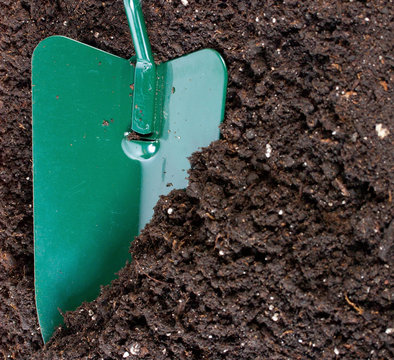 garden shovel in soil for flower and seedingses background