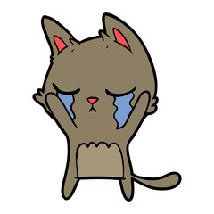 crying cartoon cat