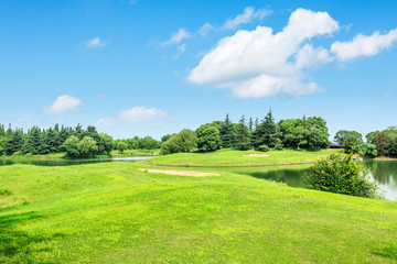 green meadow and trees with pond landscape in the nature park,beautiful summer season
