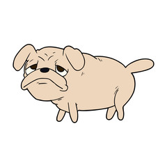 cartoon unhappy pug dog