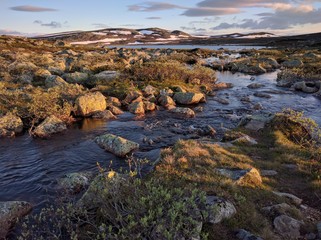 Hardangervidda spring during sunset