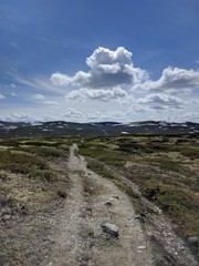 The Journey inti the eternety, Hardangervidda