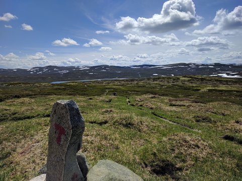 The infamous T&acute;s in Hardangervidda Nationalpark