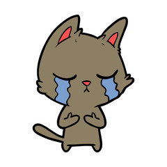 crying cartoon cat