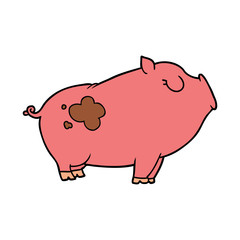 cartoon pig