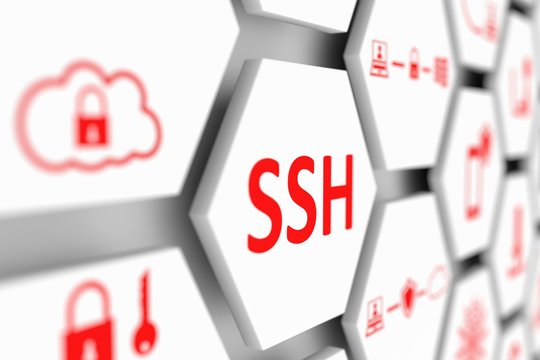 SSH concept cell blurred background 3d illustration